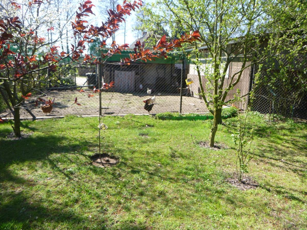 Maja Farm stay