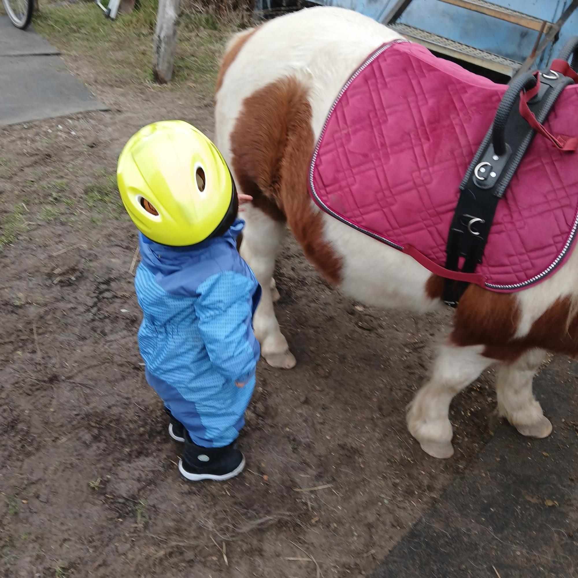 Farm stay Maja