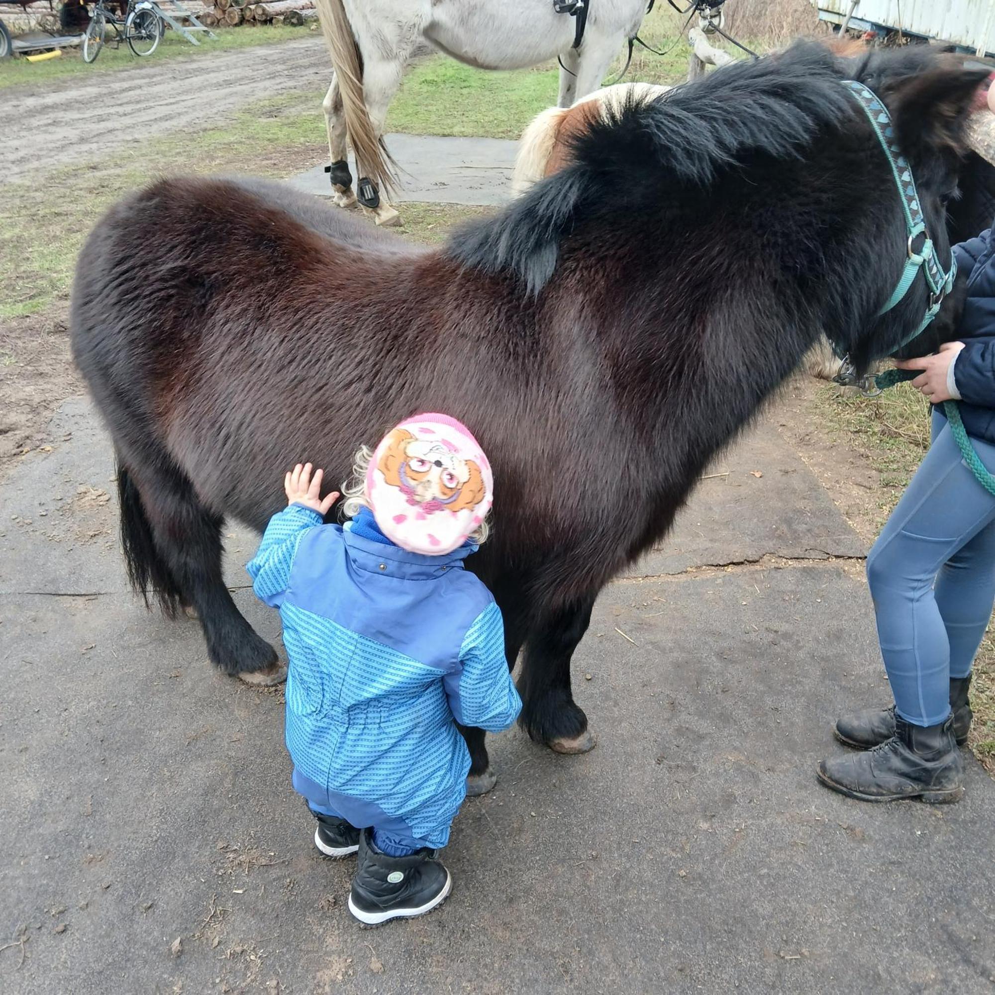 Farm stay Maja Guhrow